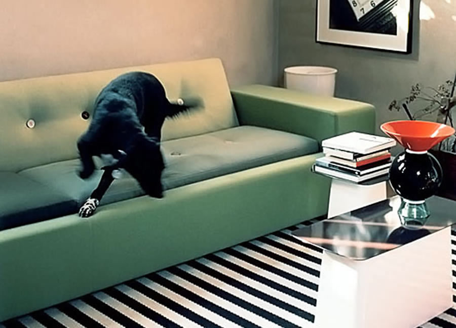 创意家具 - 坐具|沙发|办公家具|设计师家具|Polder Compact 沙发